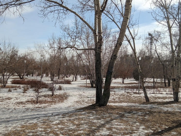 До +7 градусов ожидается в Красноярске в воскресенье