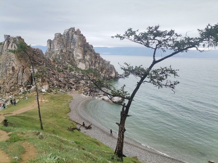 В организмах, обитающих в Байкале, обнаружен повышенный уровень мутагенеза – всё дело в навозе