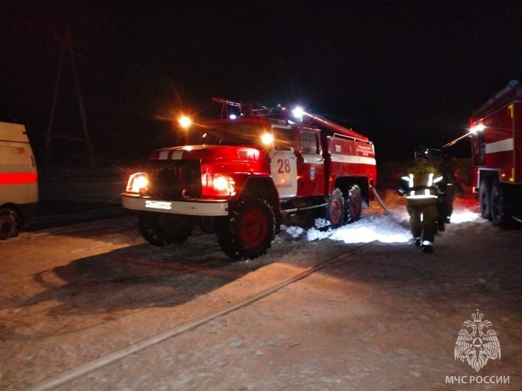 В Алтайском крае в пожаре погибли два человека