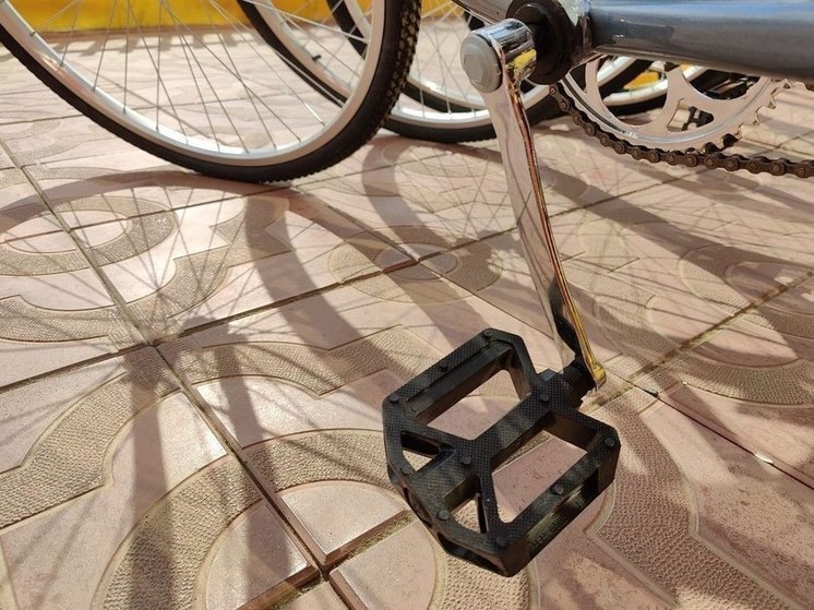 Мужчины украли велосипед и продали его ради сигарет в Чите