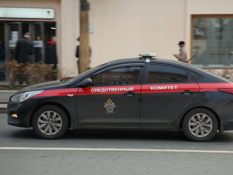 СК проводит проверку по факту невыплаты зарплаты в Чехове