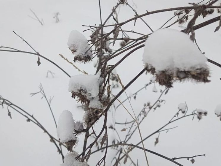 В Подмосковье вновь подморозило до -20 градусов