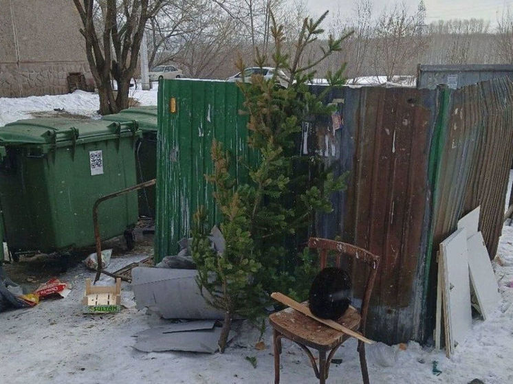Выкинутая в марте елка рассмешила жителей Кузбасса