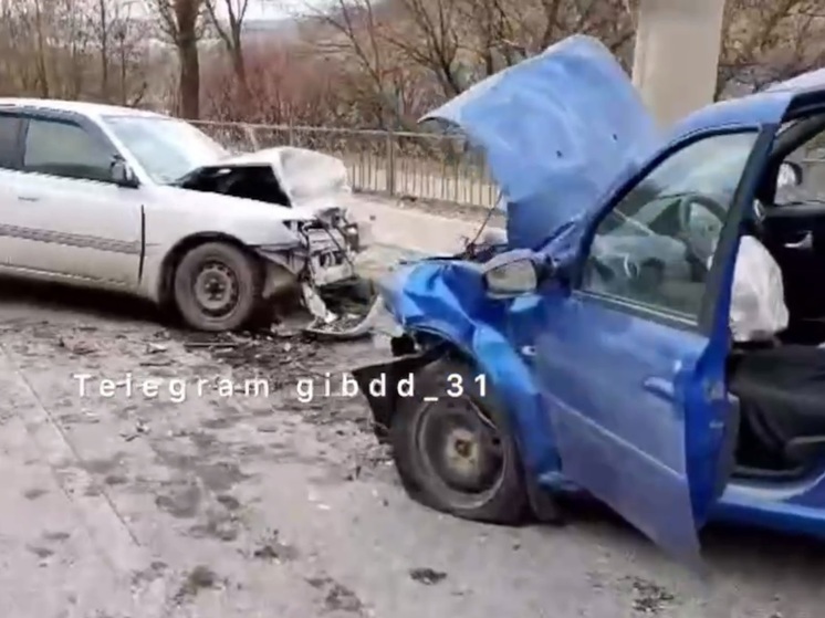 В Белгороде при столкновении иномарок пострадали 4 человека