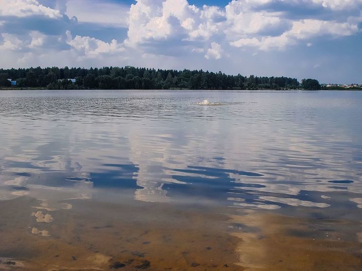 В озере Богородского округа погибли тысячи рыб