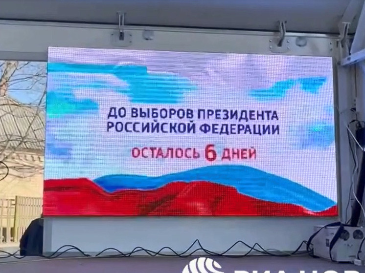 В Геническе запустили обратный отсчет времени до выборов президента