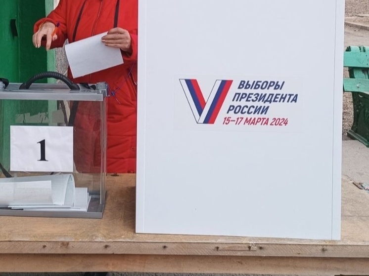 Более тысячи мобильных групп выехали для проведения досрочного голосования в ДНР
