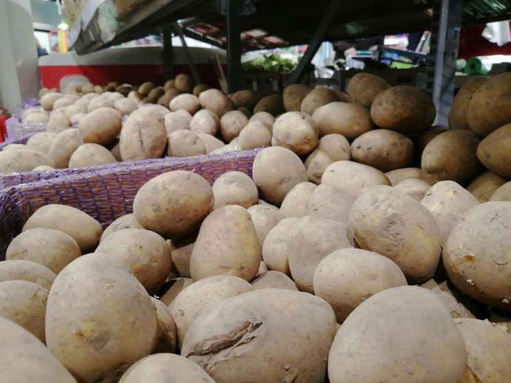 Более 500 тонн белорусской продукции ввезли в Мурманскую область за два месяца