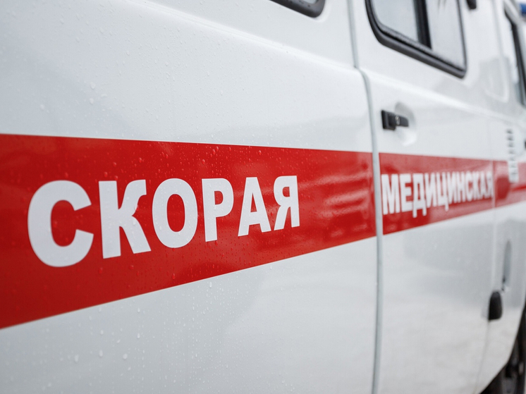 Четыре человека погибли в ДТП с участием пешеходов в Псковской области