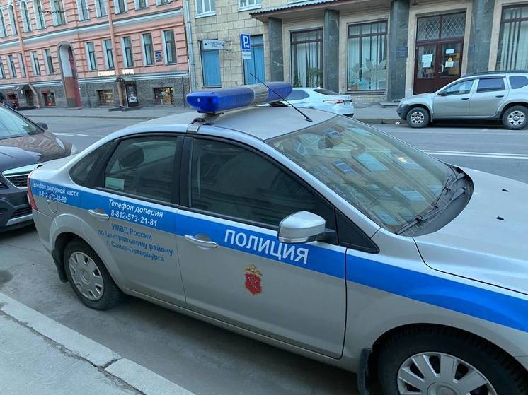 Группа вандалов осквернила Медного всадника в Петербурге