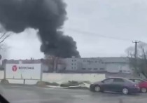 Главк МЧС по Ленинградской области сообщил о том, что в Ломоносовском районе, на Волхонском шоссе, 4, произошел масштабный пожар в ангаре
