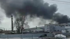 В Ленинградской области на видео сняли мощный пожар