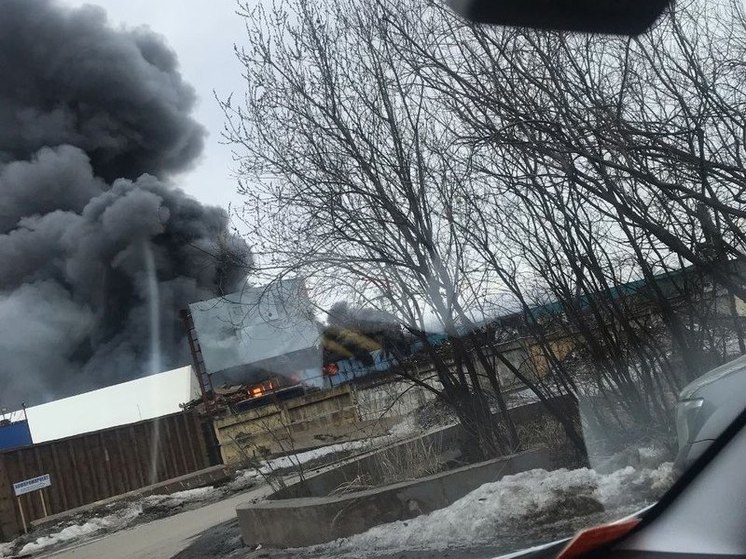 Возгорание тысячи квадратных метров под Петербургом ликвидировано