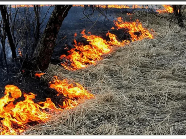 Дагестан борется с травяными пожарами: человеческий фактор виноват