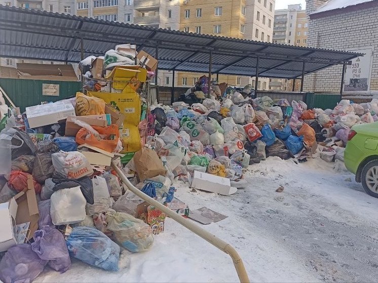 Ярославцы пожаловались на то, что в выходные не вывозится мусор