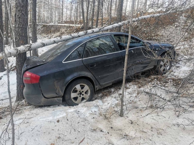 Водитель Audi A6 погиб в Забайкалье после столкновения с деревом