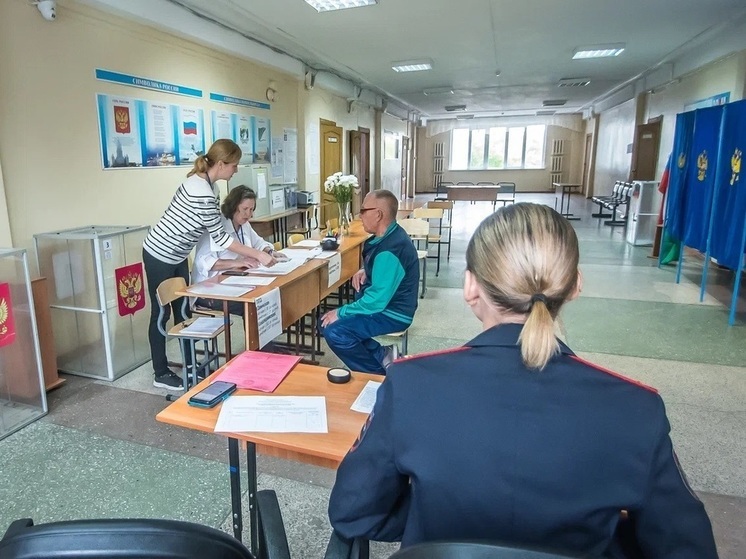 Томичи до вечера 11 марта могут подать заявление, чтобы проголосовать на выборах дистанционно