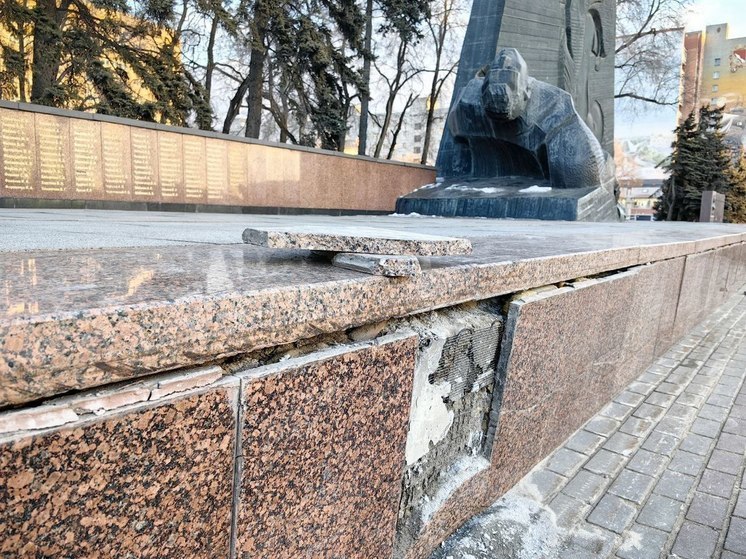 Общественники указали воронежским властям на плачевное состояние Памятника Славы