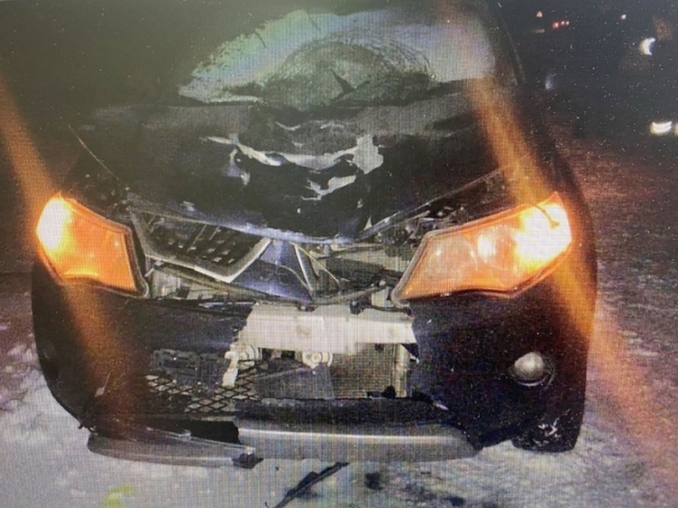 Пешеход погиб под колёсами Mitsubishi Outlander на трассе в Омской области