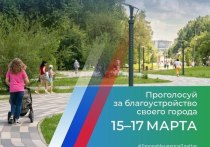 Как сообщили в администрации горда Кемерово, с 15 по 17 марта в областной столице будет проходить голосование за благоустройство парков и скверов