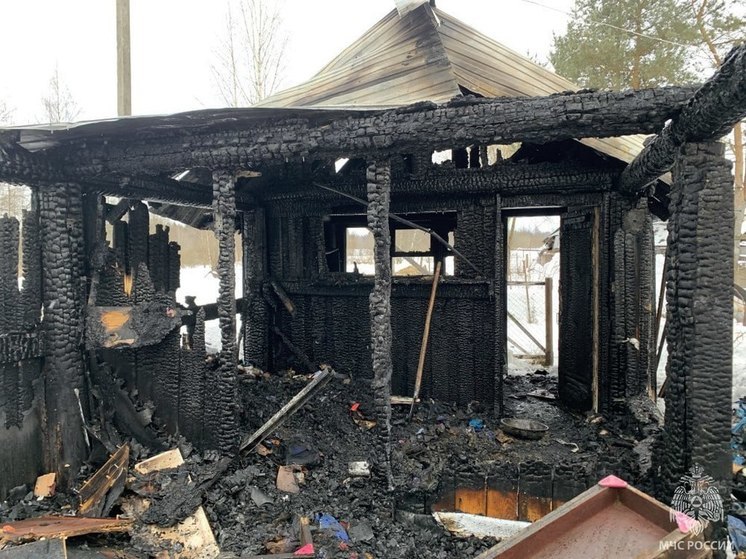 Из-за кипятильника случился пожар в Вологодском округе