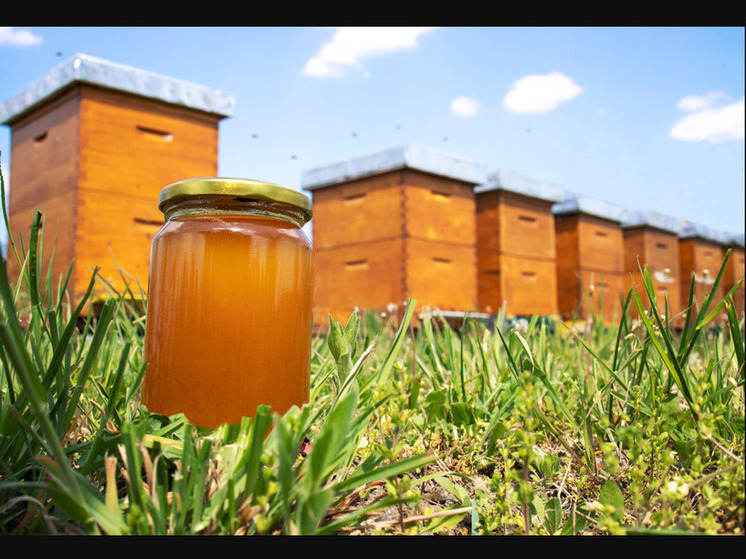 Дагестан готовит мед для экспорта в Арабские страны