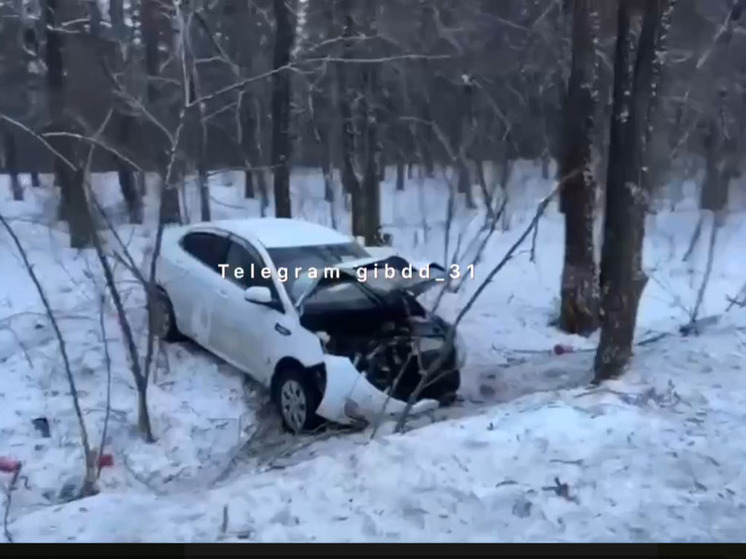 В Белгородской области в ДТП пострадали автомобилистка и два ребенка