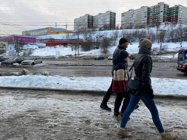 Жителей Мурманской области пригласили прийти на выборы президента всей семьей