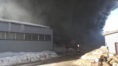 В Раменском районе Подмосковья произошел крупный пожар: видео