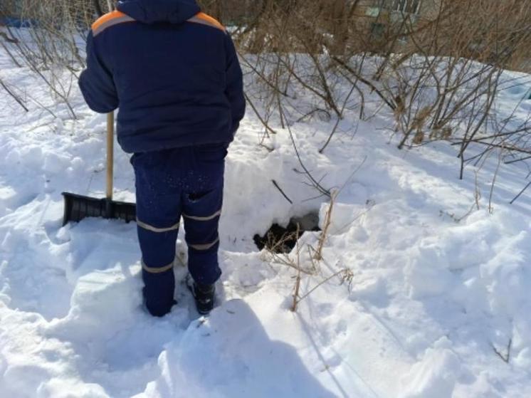 Пензенские спасатели помогли собаке, которая провалилась в колодец