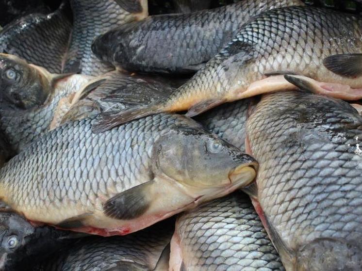 В Кавказском районе мужчина похитил у местной жительницы 20 кг рыбы