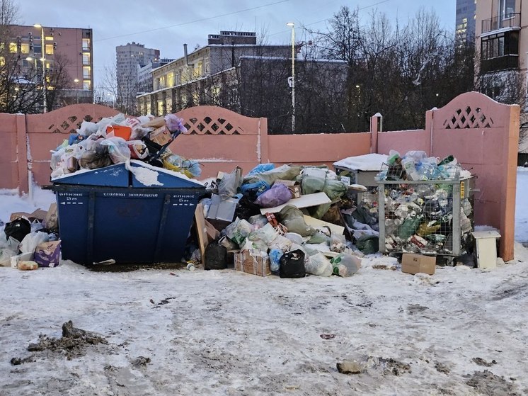 Переработчик строительных отходов из Выборга назвал три причины, мешающие рециклингу промышленного мусора