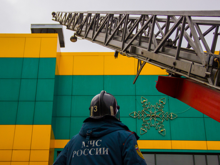  За неделю в Тульской области в пожарах погибли 3 человека