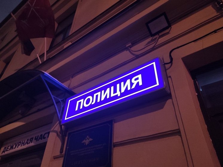 Калининградка забросала семейную пару кирпичами после замечания о шуме