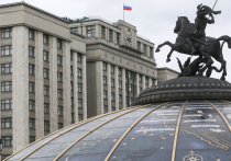 Новые поправки в УК и УПК позволят заключать контракты с ВС РФ в будущих конфликтах

