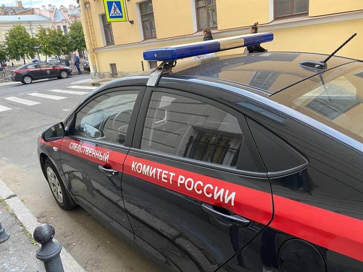 Тела родителей и сына с прострелянными головами нашли после пожара в Красносельском