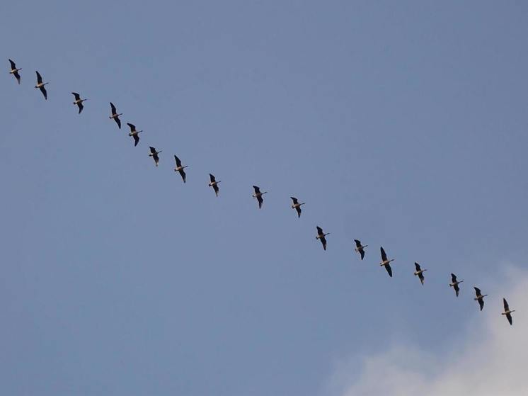 Синоптики 12 марта предсказывают в Смоленске солнечную погоду