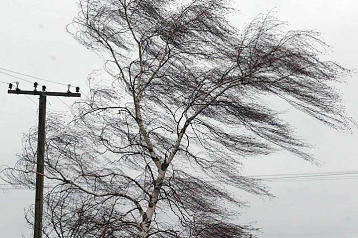 В Костромской области прогнозируют штормовой ветер и ухудшение погоды