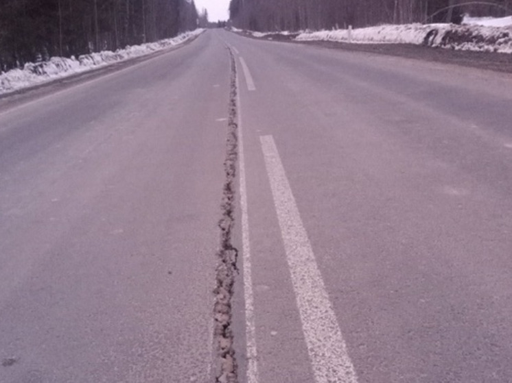 Главу Следкома РФ заинтересовала треснувшая пополам дорога в Карелии