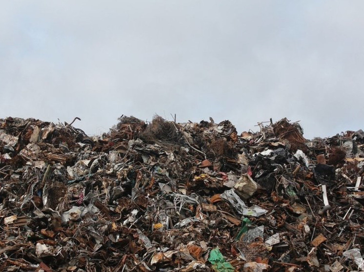 Власти Кемерова назвали сроки ликвидации мусорного полигона
