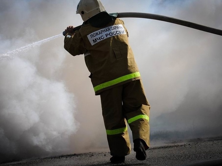 За день ярославские пожарные пять раз выезжали на ликвидацию возгораний