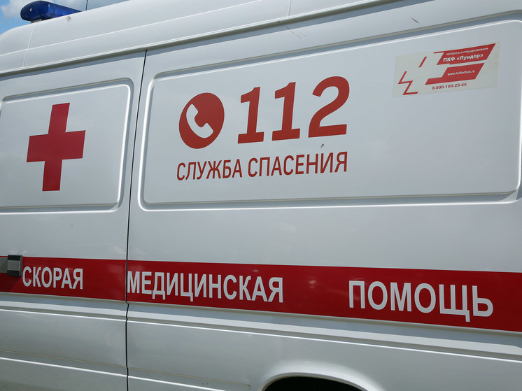 В Подмосковье спасатели помогли медикам, спешившим на вызов