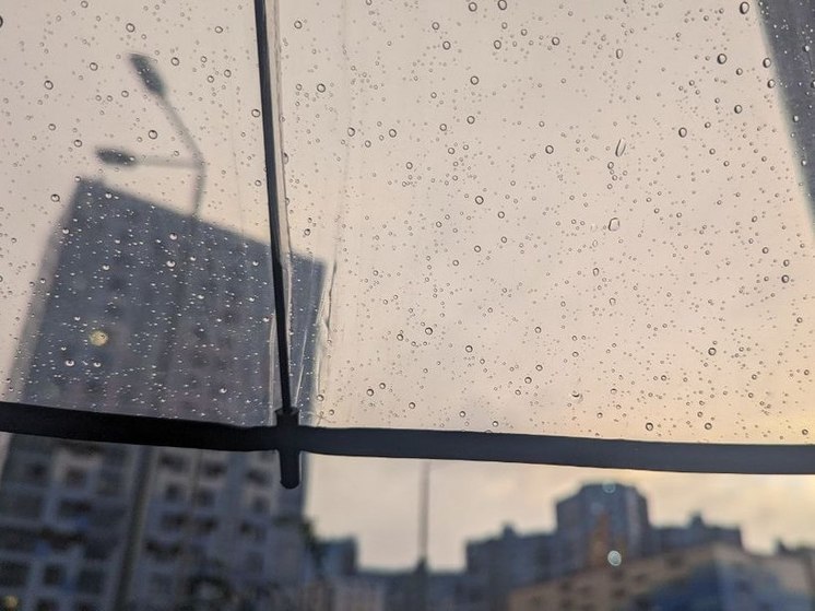 Ветрено и дожди: синоптик Колесов рассказал о смене погоды в Петербурге