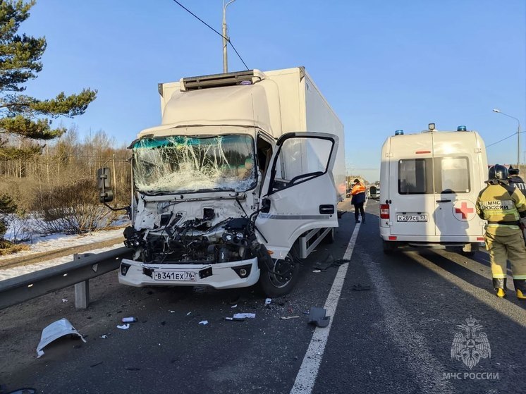 Новгородские спасатели деблокировали участника ДТП в Крестецком районе