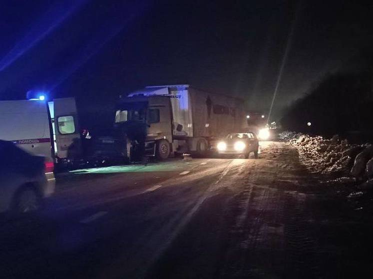 Два человека погибли и один пострадал в ДТП с фурой на трассе под Рязанью