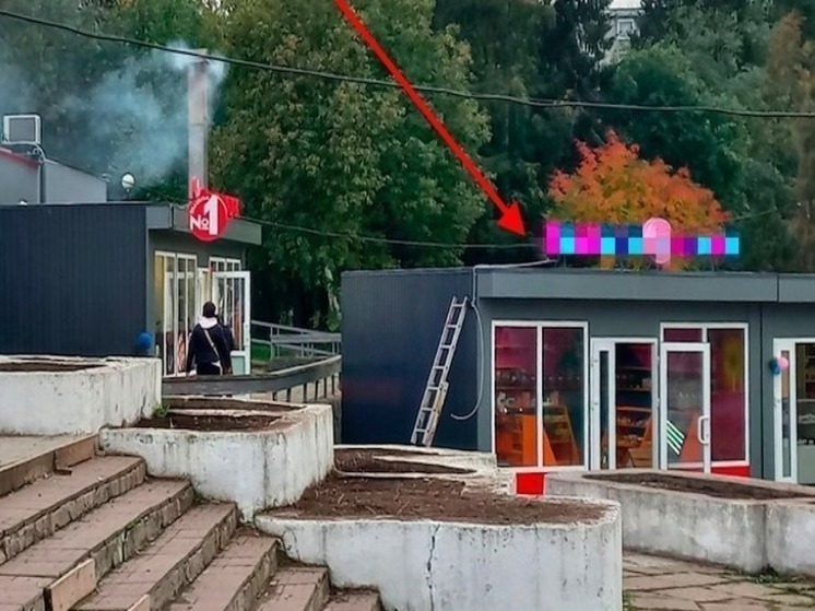 Яблони, вырубленные ради ларьков, не дают покоя жителям района Петрозаводска