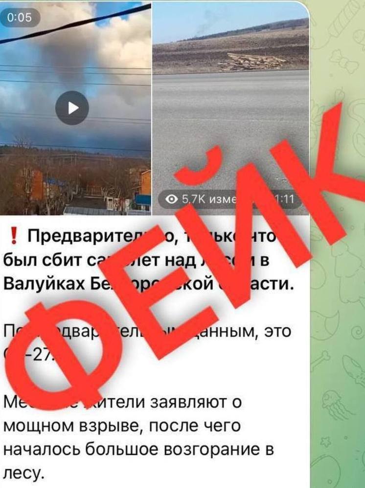 Фейк: в белгородском приграничье сбит самолет