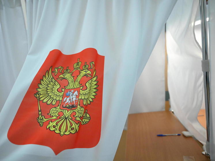 Южноуральцам расскажут о проведении президентских выборов в регионе