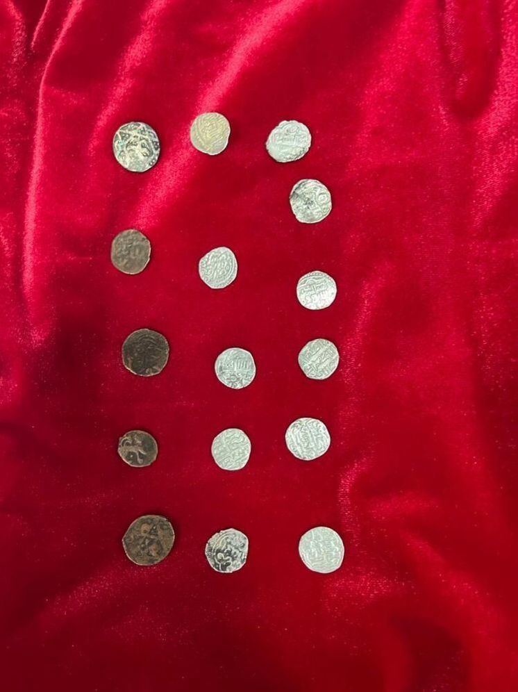 В Ингушетии при полевых работах в музее-заповеднике были найдены монеты Золотой Орды