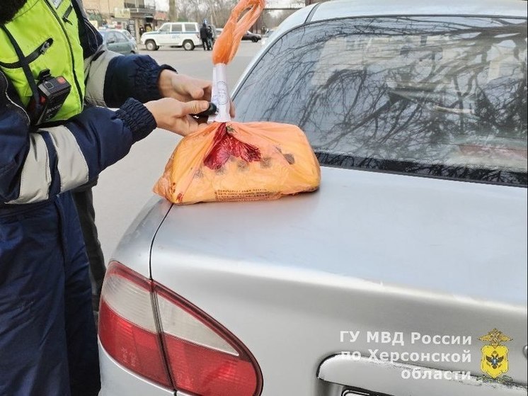 ГАИ проверила такси в Геническе
